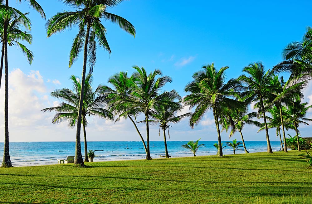 plage kenya afrique